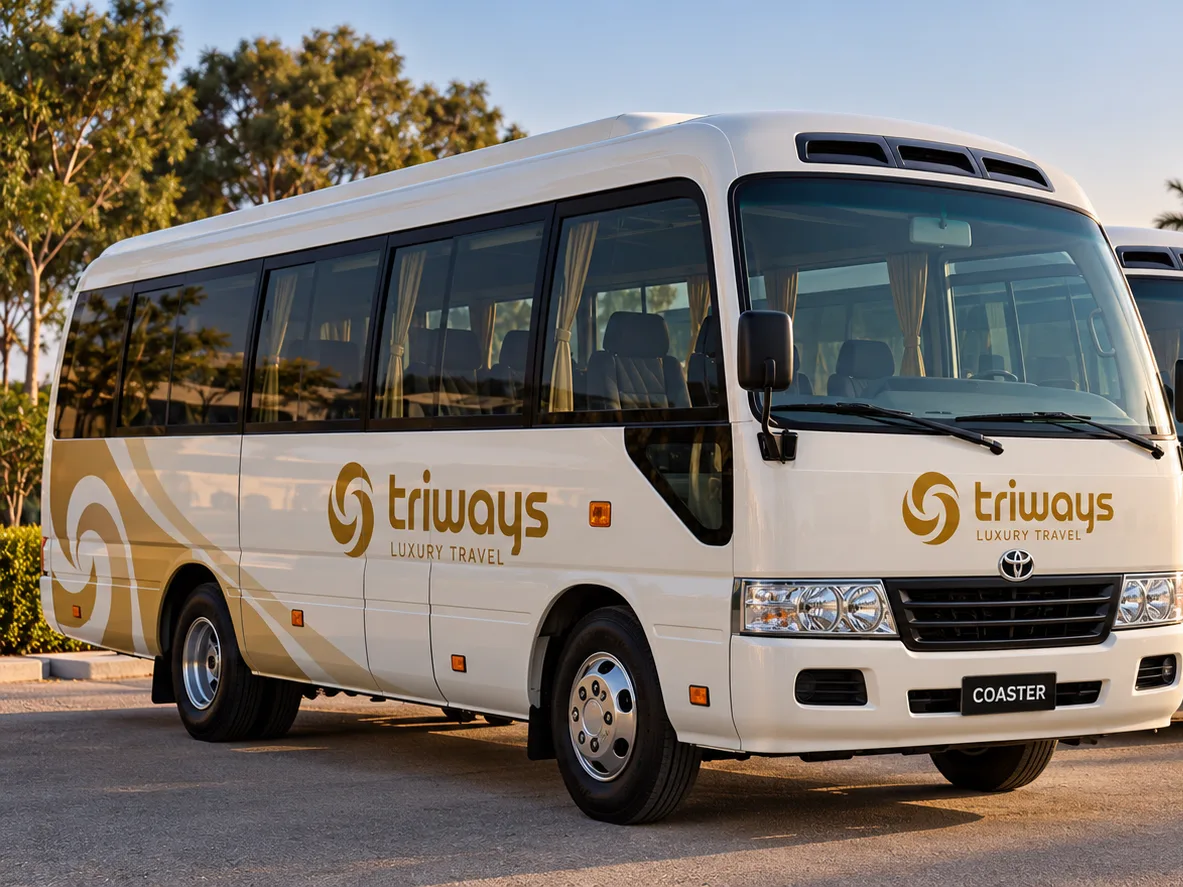 A line of white Toyota Coaster minibuses in Triways livery at golden hour
