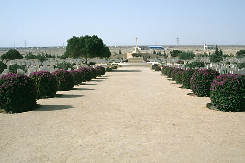 The central avenue of the El Alamein War Cemetery, lined with bougainvillea, leading to the Cross of Sacrifice between rows of headstones