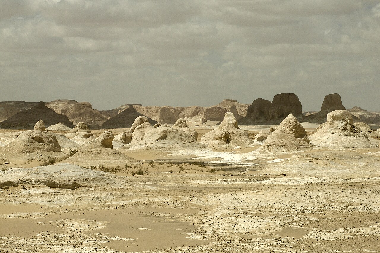 Wind-carved white chalk formations scattered across the plain of the White Desert under a cloudy sky