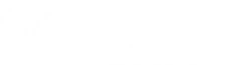 Toyota Egypt