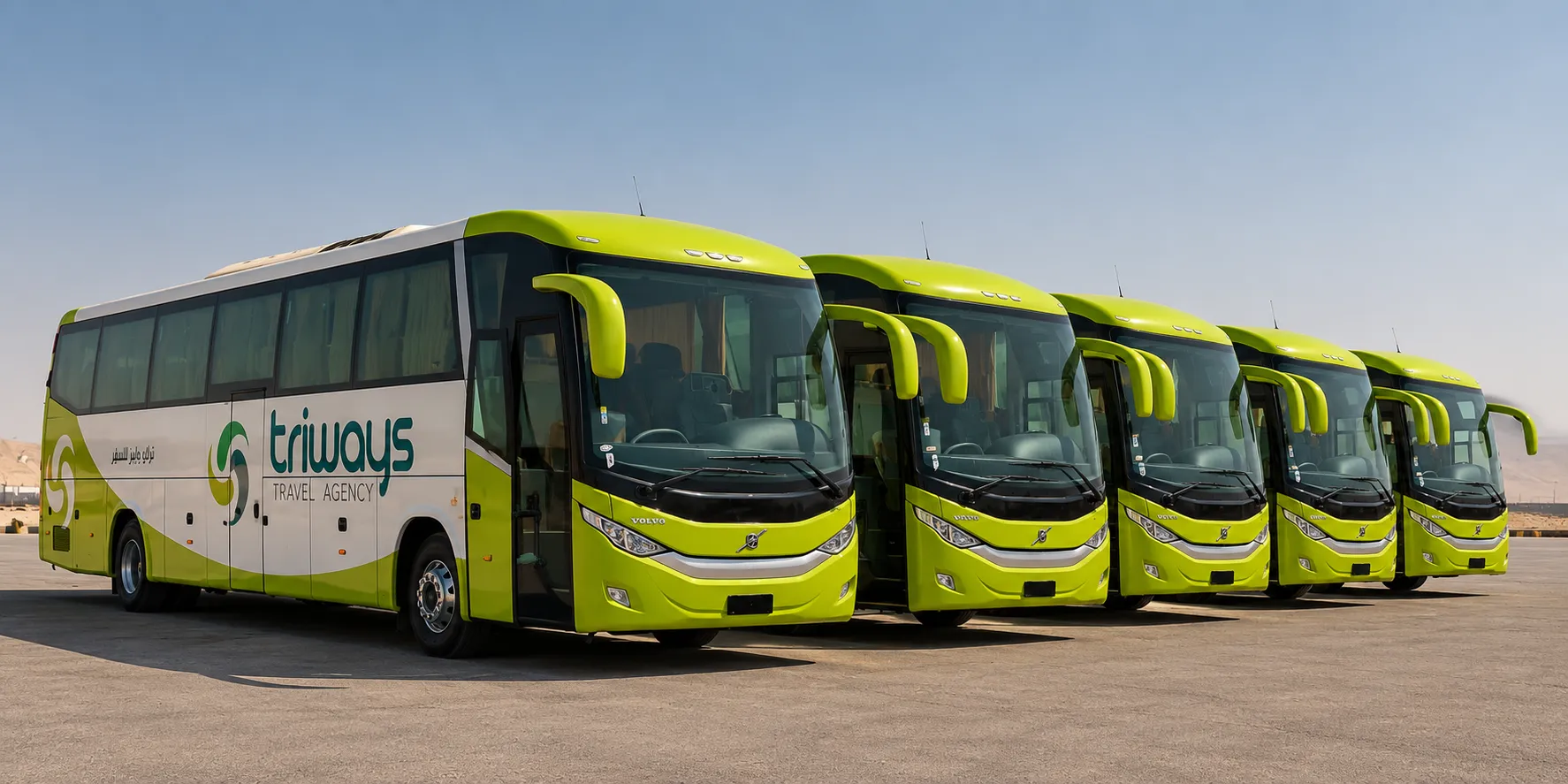 Green and white Volvo coaches in Triways livery lined up on open ground