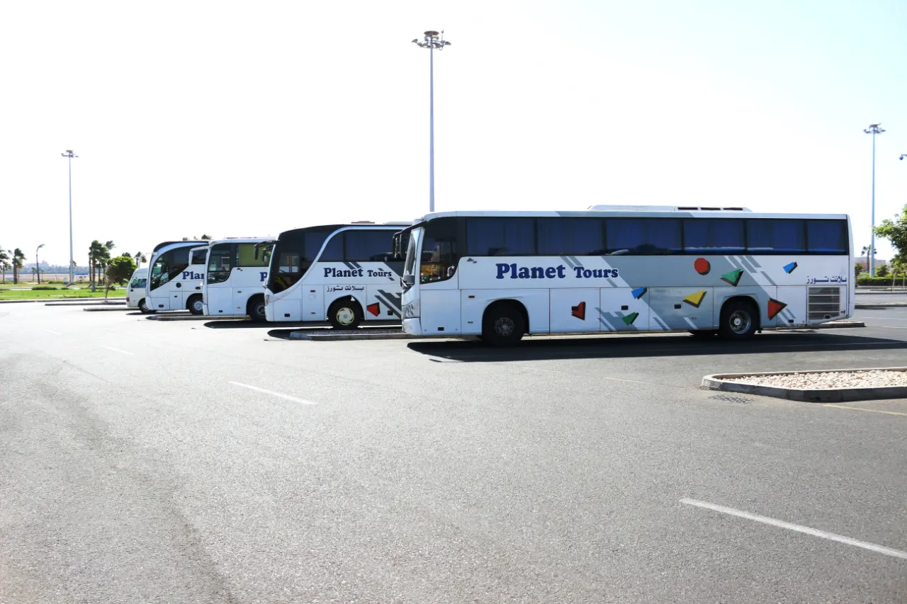 A line of white coaches in Planet Tours livery parked in the sun